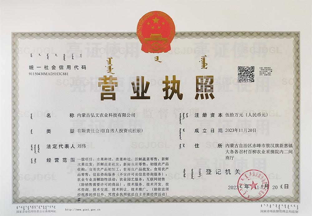 公司执照